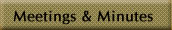 Renaissance Estates Meetings and Minutes